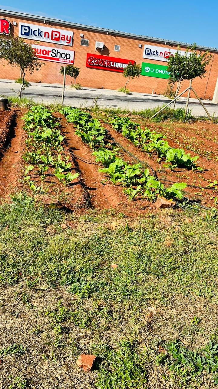 Agriculture 5